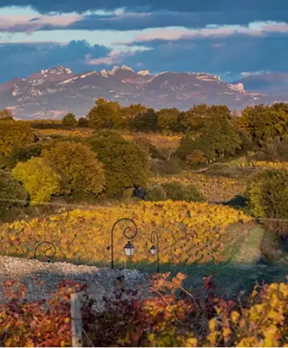 domaine xavier vignon 4