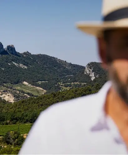 domaine xavier vignon 8